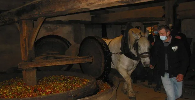 photo  la fête du cidre avec la participation du cheval percheron umberto.   &copy;  archives ouest-france 