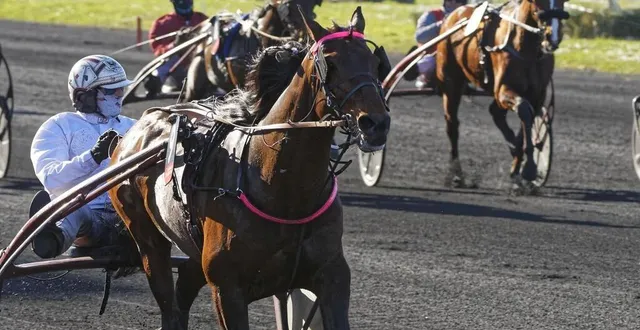 photo  diable de vauvert, brillant vainqueur du prix de paris 2022 à vincennes. capable de finish époustouflant, le cheval ornais pourrait être l’un des grands absents du meeting d’hiver de vincennes.  &copy;  jean-luc lamaere / le trot 
