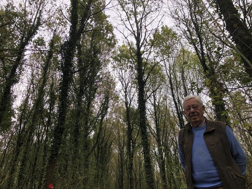 Machecoul. Propriétaire forestier, « un métier de confiance » -  Nantes.maville.com