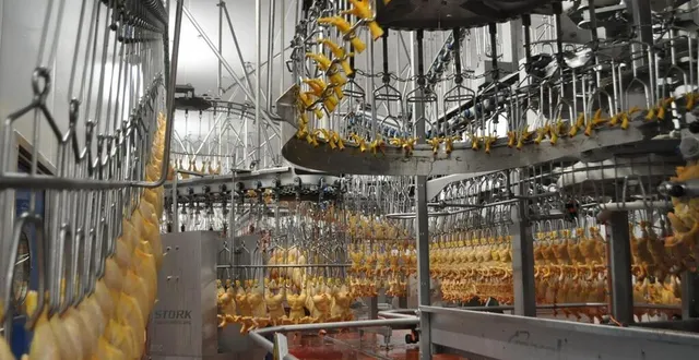 photo  dans un contexte inflationniste persistant, le groupe ldc dispose d’une bonne visibilité pour le second semestre.  &copy;  photo archives le maine libre 