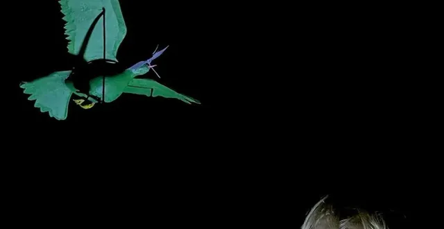 photo  vera rozanova, à l’affiche de mômo festival.  &copy;  dr 