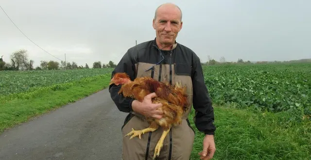photo  michel lemarchand élève 600 poulets et pintades.  &copy;  ouest-france 