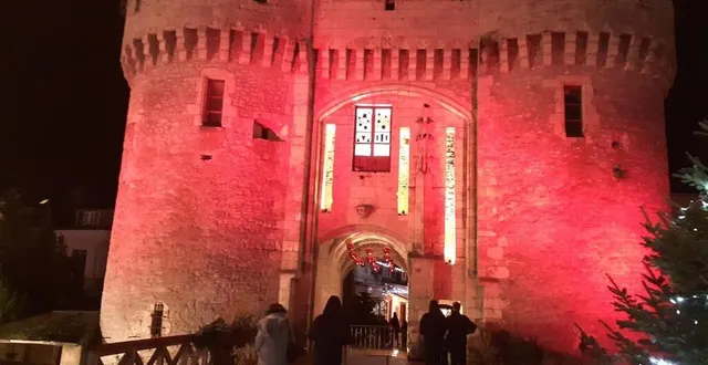 photo  la porte saint-julien lors de « la nuit des couleurs 2021 » à la ferté-bernard (sarthe).  &copy;  ouest-france 