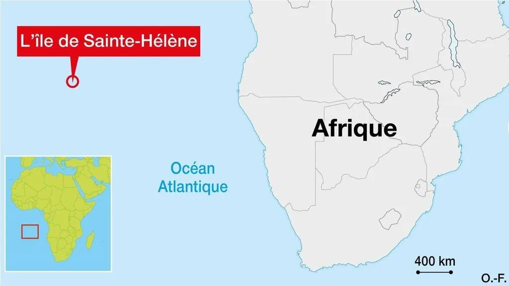 Tortue, méduse, moule… Quels sont les animaux à l’espérance de vie la