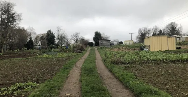 photo  les jardins ouvriers de flers et saint-georges-des-groseillers existent depuis 1942. aujourd’hui, ils sont une trentaine à cultiver leurs parcelles à saint-georges-des-groseillers  &copy;  archives ouest-france 