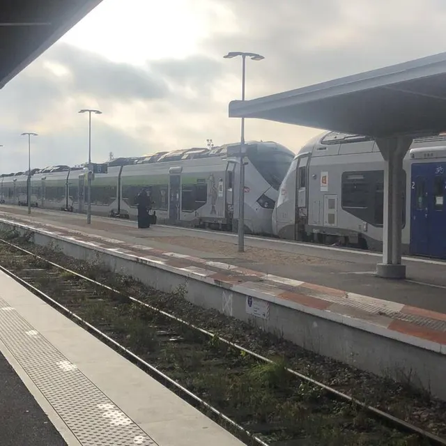photo le train granville-paris n° 3240 arrivé à argentan à 10 h 16 devait rester à quai pendant 2 h 30.  ©  ouest-france