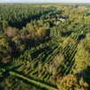 photo  près de 39 essences d’arbre différentes ont été plantées dans l’arboretum du domaine de pescheseul, à avoise, en sarthe (ici en photo), dans le cadre du projet européen reinfforce. 