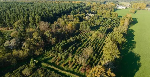 photo  près de 39 essences d’arbre différentes ont été plantées dans l’arboretum du domaine de pescheseul, à avoise, en sarthe (ici en photo), dans le cadre du projet européen reinfforce.  &copy;  thomas brégardis / ouest-france 