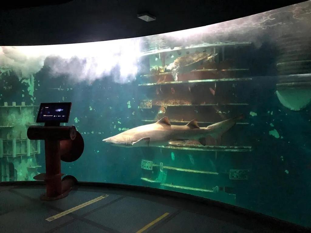 Huit aquariums pour explorer la mer sans se mouiller dans l’ouest de la