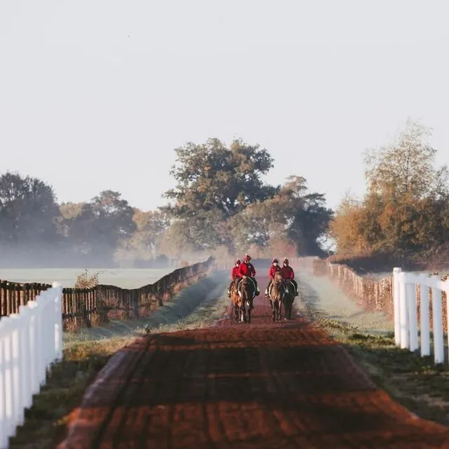 photo chaque jour éric ventrou et ses salariés sortent les galopeurs sur une grande piste de copeaux de bois, à saint-loyerd-des-champs.  ©  zuzanna lupa.
