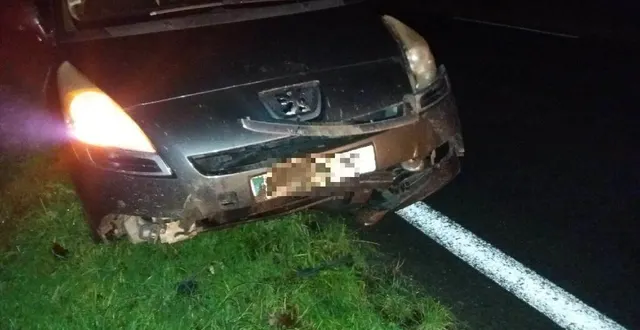 photo  jennifer, son mari et leurs enfants rentraient d’une journée de noël passée chez les grands-parents quand leur véhicule a percuté un sanglier de plein fouet entre le grand-lucé et parigné-l’évêque. personne n’a été blessé. l’animal a été tué sur le coup.  &copy;  victime 