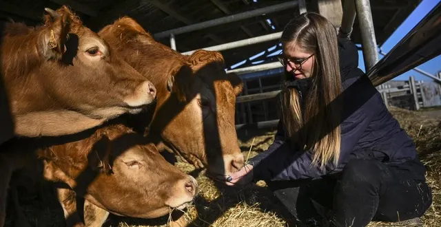 photo  mélodie lalande est en reconversion professionnelle depuis 2 ans pour devenir agricultrice, seule ou en association.  &copy;  le maine libre – denis lambert 