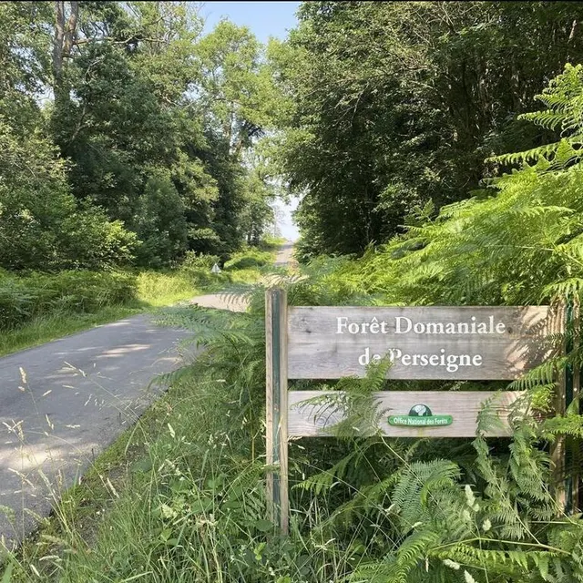photo saint-rigomer-des-bois se situe à l’ouest du massif forestier de perseigne qui peuple la ligne de crête de ses feuillus.  ©  archives yanne boloh