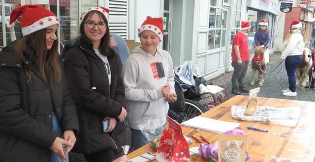 photo  les bénévoles se sont répartis entre les balades à poneys et le stand tombola.  &copy;  ouest-france 