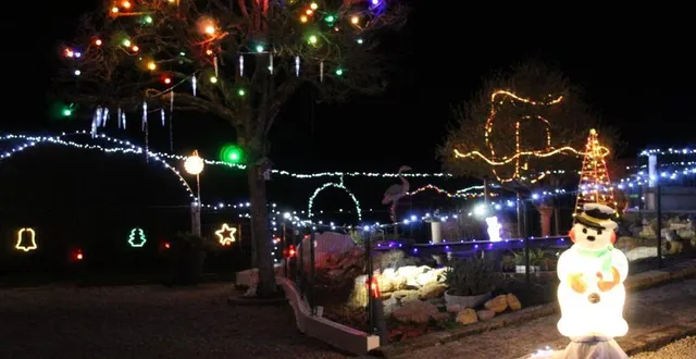 photo  des dizaines de scènes lumineuses différentes sont installées dans la propriété de la famille laloi à saint-rémy-des-monts.  &copy;  le maine libre 
