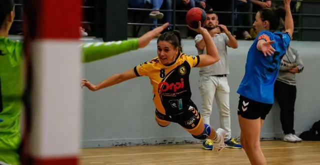 photo  les mamertines continuent de créer la sensation dans le sport collectif sarthois.  &copy;  archives le maine libre 