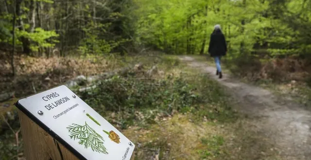 photo  avec son smartphone, une fois le circuit téléchargé, plus possible de se perdre.  &copy;  archives le maine libre – denis lambert 