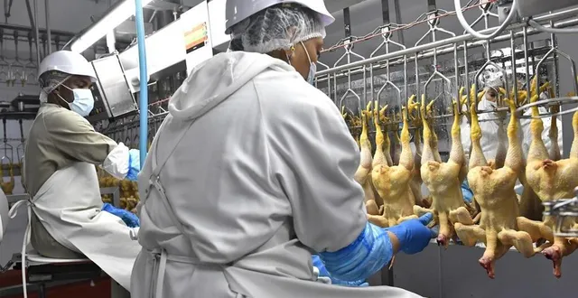 photo  la fin de l’année 2022, hors mois de décembre, a été plus que positive pour le groupe sarthois ldc, basé à sablé-sur-sarthe.  &copy;  ouest-france 