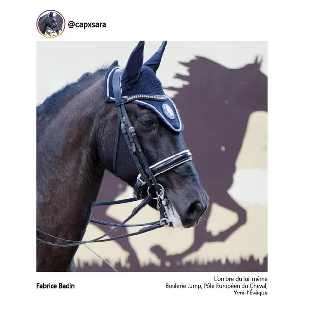 photo le cheval ombre de lui-même, photographié par @capxsara au boulerie jump d’yvré-l’evêque.  ©  fabrice badin/conseil départemental de la sarthe.