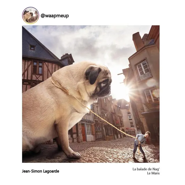 photo une drôle de créature en pleine rue, au mans…  ©  jean-simon lagoarde/ conseil départemental de la sarthe.