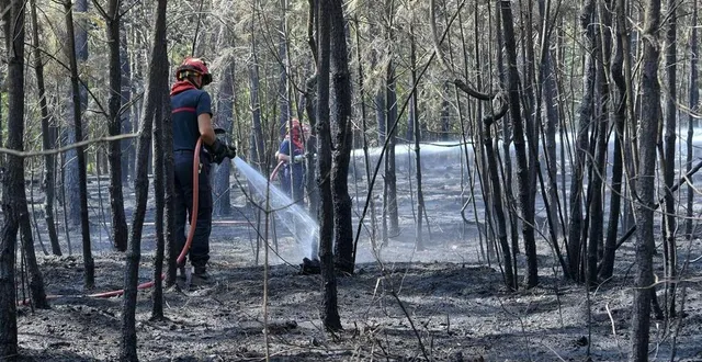 photo  grâce à l’atlas qui vient d’être réalisé par la dreal, on en sait plus sur les zones à risque feux de forêt dans la région et dans le département. l’outil est une aide aux décisions qui seront prises pour combattre ce phénomène amené à se répéter.  &copy;  archives le maine libre-yvon loue 