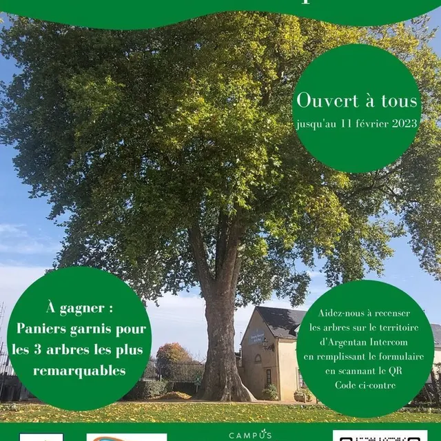 photo l’affiche du concours.  ©  dr