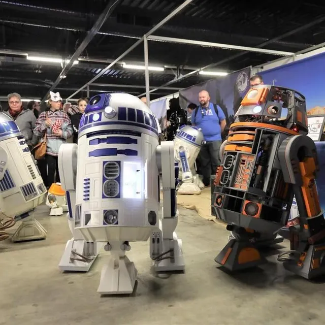 Les petits protégés de la Communauté Francophone des Constructeurs de R2D2. Ouest-France photo les petits protégés de la communauté francophone des constructeurs de r2d2. © ouest-france
