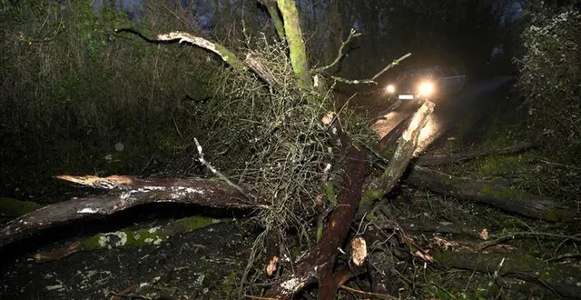 photo  la tempête gérard a provoqué des dégâts dans l’ouest de la france, notamment dans le maine-et-loire.  &copy;  courrier de l’ouest 