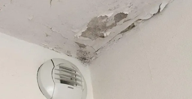 photo  malgré un changement des vmc, les problèmes d’humidité persistent et s’accentuent.  &copy;  co 