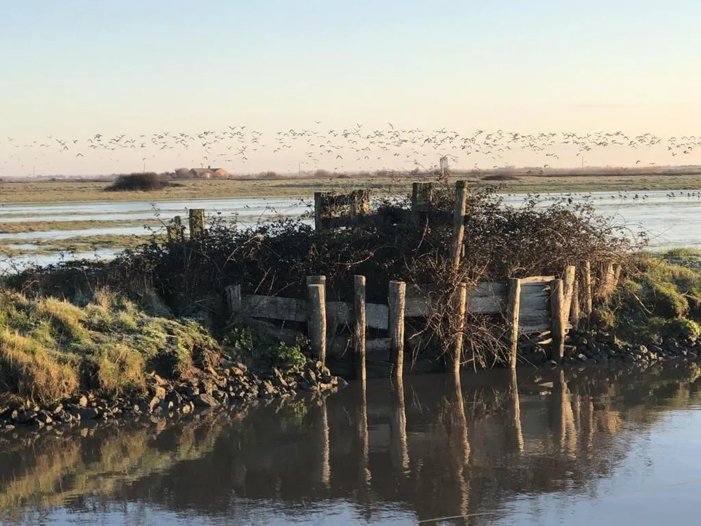 Dans le NordOuest Vendée, le marais breton fait le plein d’eau, et c