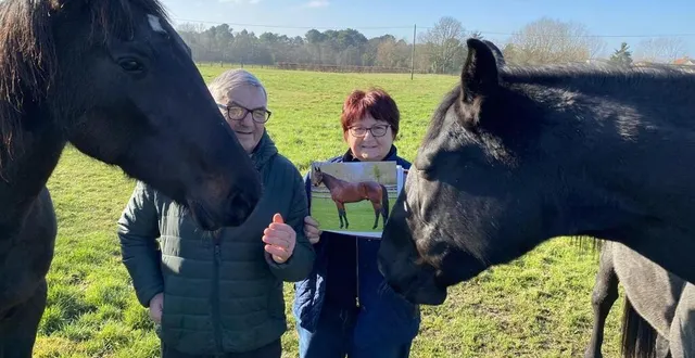 photo  à vaas, dans le sud-sarthe, giselle et jean-pierre guay ont élevé, jusqu’à 18 mois, leur vigoureux trotteur hohneck qualifié une nouvelle fois au prix d’amérique, dimanche 29 janvier 2023.  &copy;  archives ouest-france. 