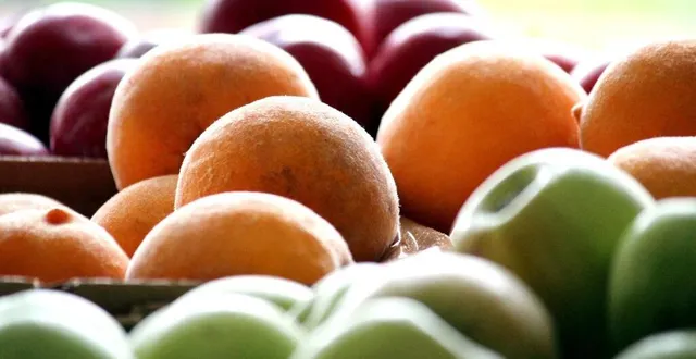 photo  mangez-vous davantage de produits frais que de plats préparés ? cuisinez-vous à la maison ? autant de questions auxquelles vous pouvez répondre dans le questionnaire de la communauté urbaine d’alençon.  &copy;  pxhere 