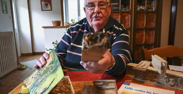 photo  un habitant d’aigné aligne des preuves de ce que les termites sont capables de faire sur le bois et même sur un livre.  &copy;  le maine libre – denis lambert 