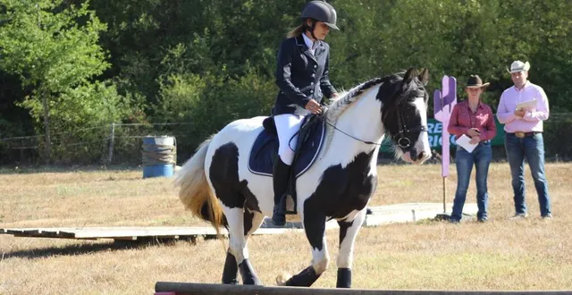 photo  darling du majestic et clémence ont une relation très fusionnelle qui est un atout mais qui peut se transformer en handicap.  &copy;  poukra tanneur 