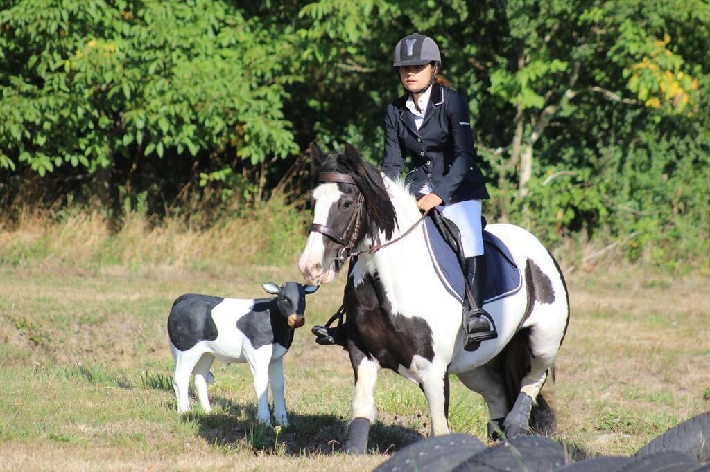 Tuffé Val de la Chéronne TufféValdelaChéronne. Clémence Chartin