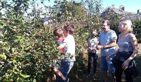 photo  en septembre dernier, les habitants avaient eu la possibilité de cueillir gratuitement les fruits du potager. ils aspirent à voir le potager revivre.  &copy;  archives ouest-france 