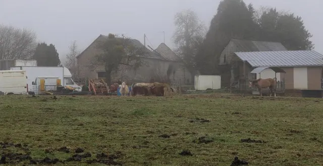 photo  une femme et trois enfants ont perdu la vie dans l’incendie d’une maison, à trans, commune du nord de la mayenne.  &copy;  archives ouest-france 