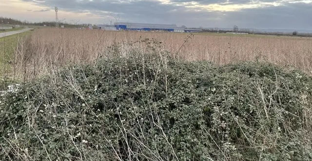 photo  l’appel d’offres concernait cette parcelle située à l’angle de la rue marie-harel et la rue nicolas-jacques-conté, dans le parc d’activités de cerisé.  &copy;  ouest-france 