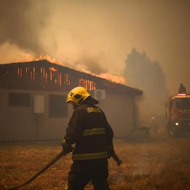 Feux de forêt au Chili : au moins quatre morts et neuf blessés, 29 000 ...