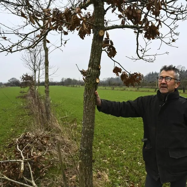 photo en trente ans, bertrand honoré, agriculteur bio, a planté des milliers d’arbres. ?  ©  le maine libre – denis lambert
