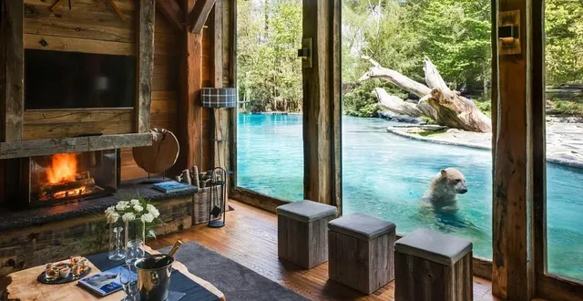 photo  le zoo de la flèche (sarthe) a reçu un avis favorable quant à son projet d’agrandissement de près de cinq hectares.  &copy;  archives ouest-france 