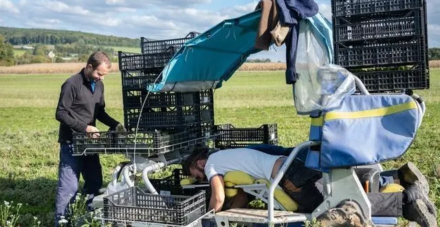 photo  armand, jéremy et hugo souhaitent travailler la terre en douceur, avec des chevaux percherons et des outils ergonomiques.  &copy;  ouest-france 