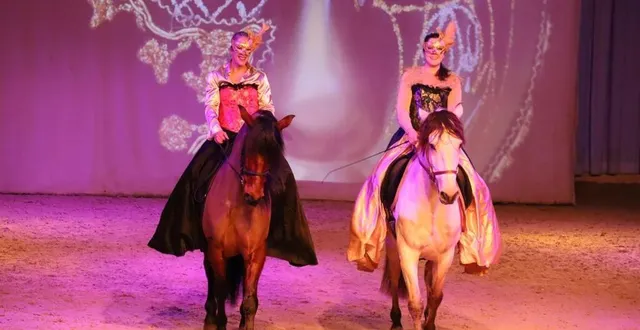 photo  « carnaval au haras » propose une plongée à travers différents carnavals (ici celui de venise).  &copy;  ouest-france 