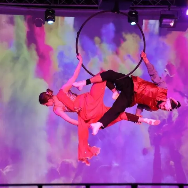 photo « carnaval au haras », un spectacle alliant la grâce aérienne des artistes et les numéros équestres.  ©  ouest-france