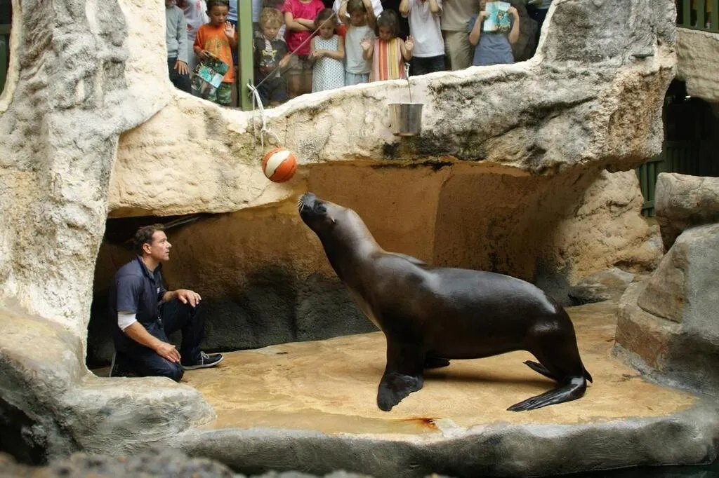 Vendée. L’aquarium Sealand ferme ses portes, Noirmoutier dit adieu aux