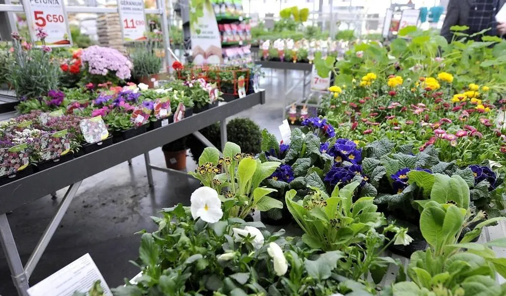 Appel à la grève à la jardinerie Truffaut, à Orvault SaintNazaire