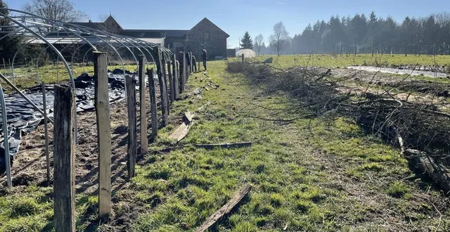 photo  des branches sèches de sapins vont être entremêlées pour créer une haie sèche aux minières, à la ferrière-aux-etangs (orne).  &copy;  ouest-france 