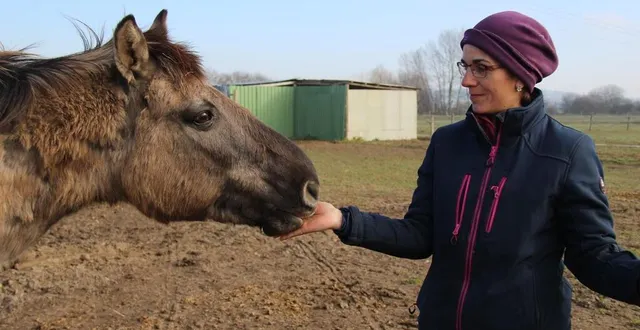 photo  angélique bralet, propriétaire du centre équestre de la bourrelière, a accueilli les chevaux sauvages du marais de cré en 2017.  &copy;  ouest-france 