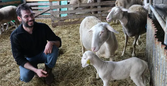photo  benoît pavec est installé comme agriculteur bio depuis avril 2017 à la ferme les brebis anjouées à contigné.  &copy;  ouest-france 