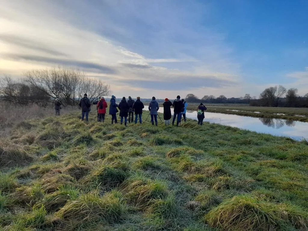 GraignesMesnilAngot. Des sorties ornithologiques pour découvrir les